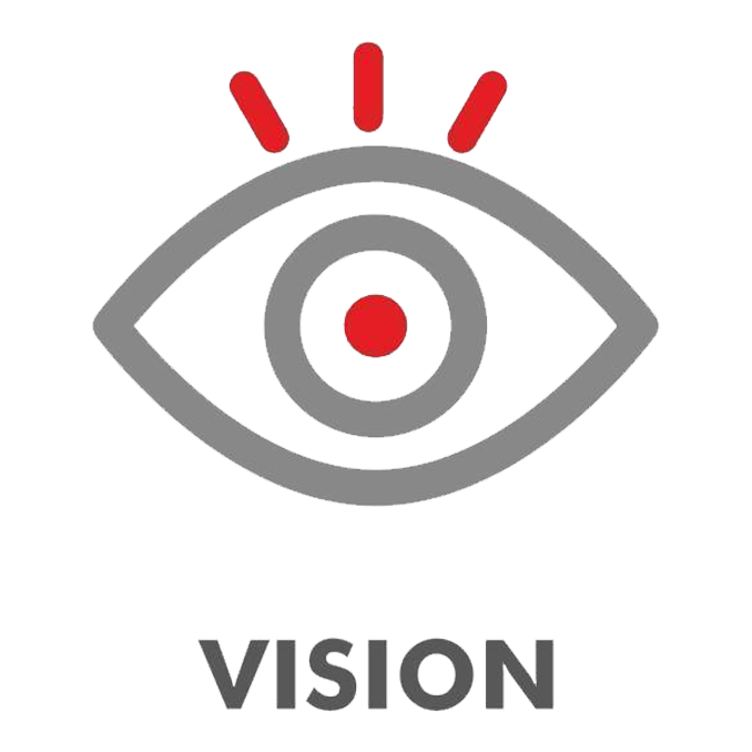 vision